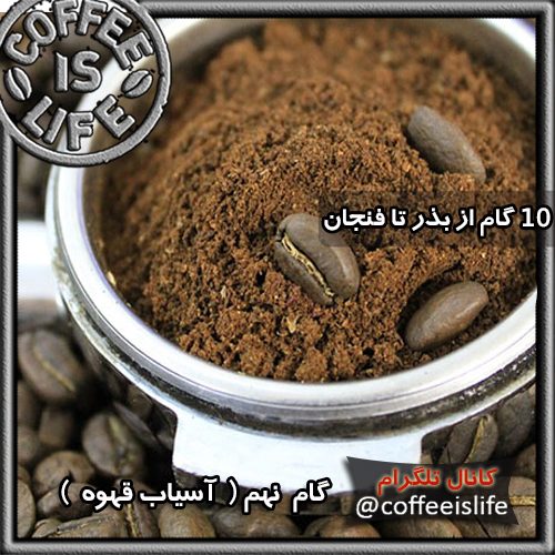 قهوه | ١٠ گام از بذر تا فنجان - از مزرعه تا فنجان قهوه