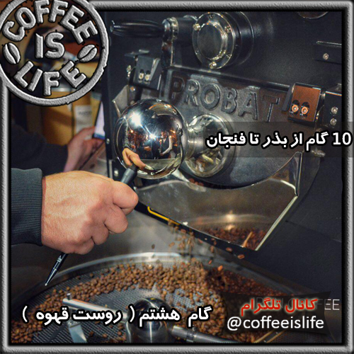 قهوه | ١٠ گام از بذر تا فنجان - از مزرعه تا فنجان قهوه