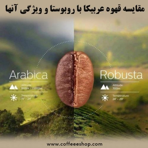 مقایسه قهوه عربیکا با روبوستا و ویژگی آنها