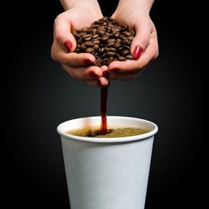 همه چیز درباره گیاه قهوه
