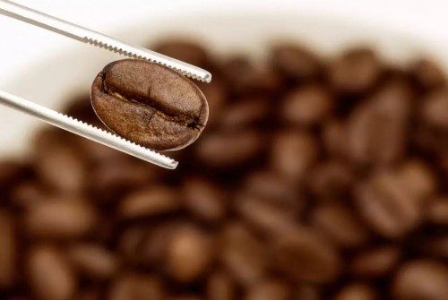 با نوشیدن قهوه چه اتفاقاتی در بدن شما می افتد؟
