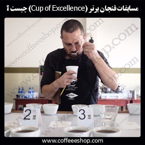 مسابقات فنجان برتر (Cup of Excellence) چیست ؟