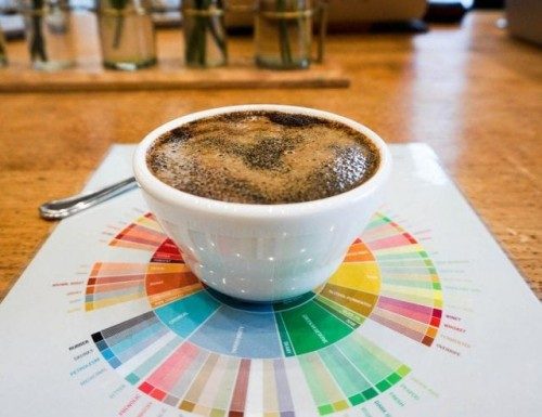 نمودار عطری قهوه flavour wheel