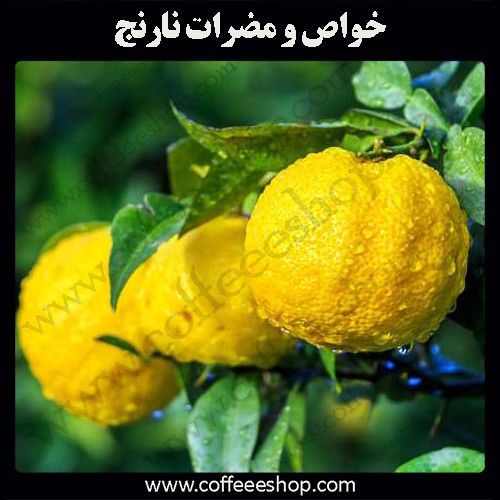 نارنج چیست؟ | خواص و مضرات نارنج