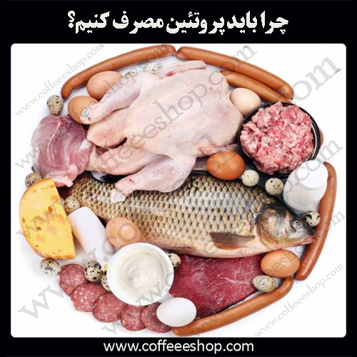پروتئین | چرا باید پروتئین مصرف کنیم؟