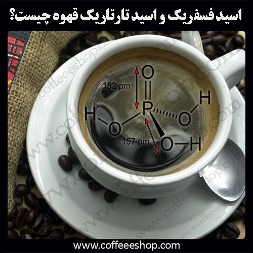 اسیدهای موجود در قهوه | اسید فسفریک قهوه و اسید تارتاریک قهوه