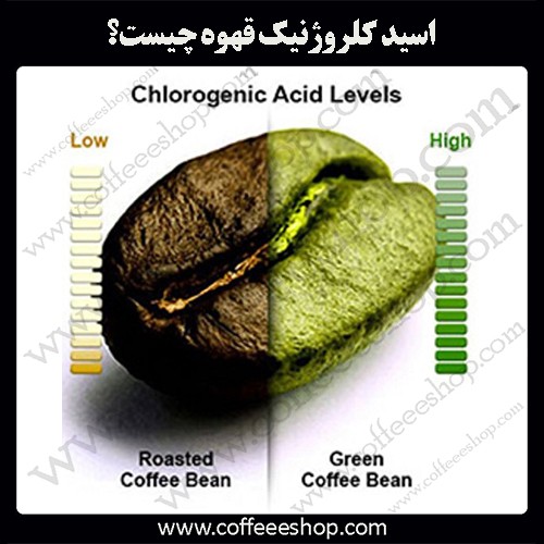 اسیدهای موجود در قهوه | اسید کلروژنیک قهوه