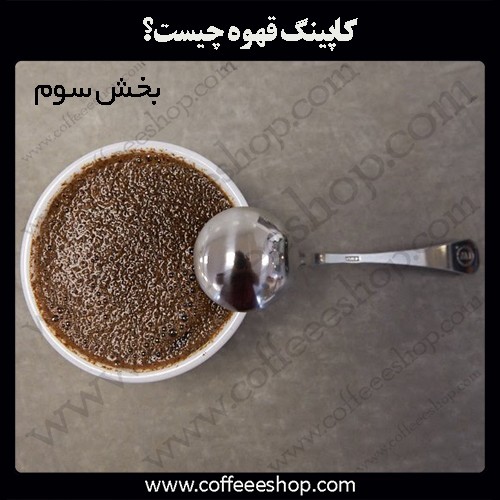 کاپینگ قهوه چیست؟ | Coffee Cupping