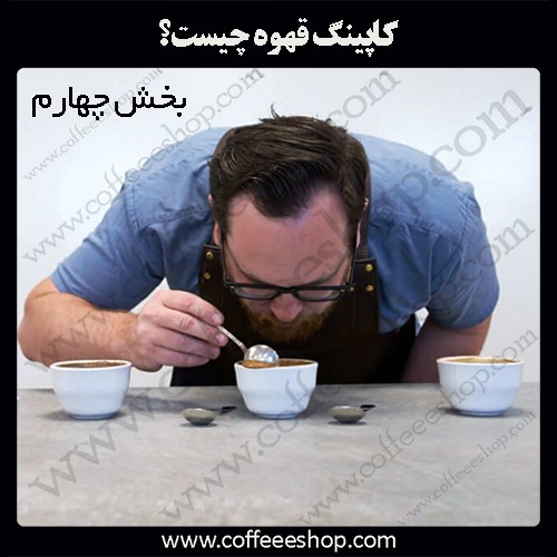 کاپینگ قهوه چیست؟ | Coffee Cupping | بخش چهارم