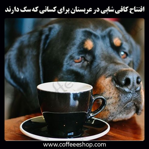 افتتاح کافی شاپی در عربستان برای کسانی که سگ دارند