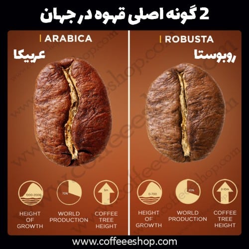 خواص و مضرات قهوه - 2 گونه اصلی قهوه در جهان