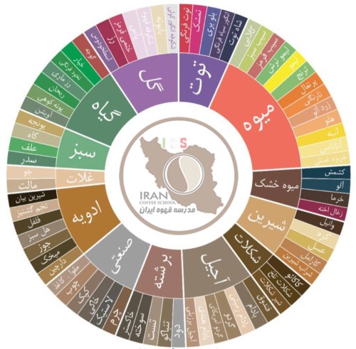 چرخه طعمی قهوه