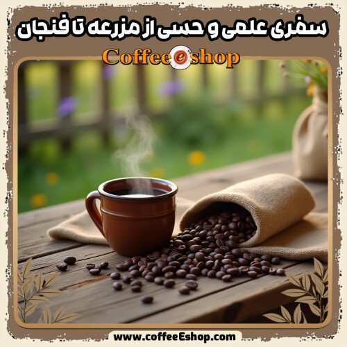 راهنمای قهوه: تولید، کیفیت و دم‌آوری