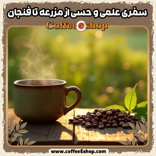 راهنمای قهوه: تولید، کیفیت و دم‌آوری