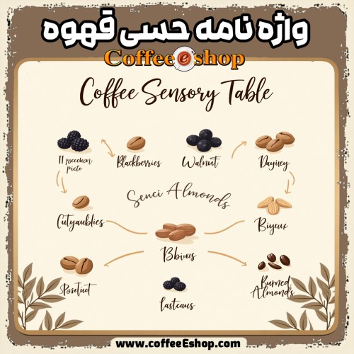 واژه نامه حسی قهوه | ابزاری برای درک طعم و عطر قهوه