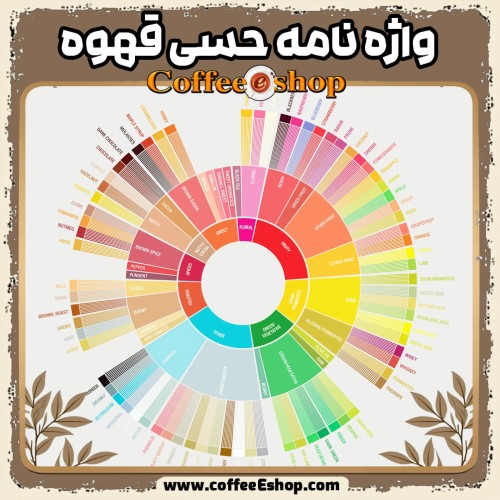 واژه نامه حسی قهوه | ابزاری برای درک طعم و عطر قهوه