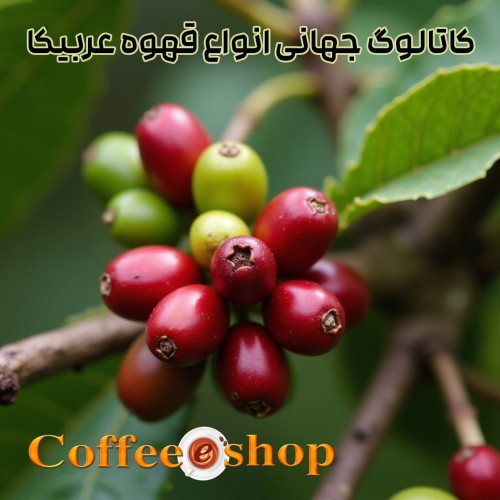 کاتالوگ جهانی انواع قهوه عربیکا: دانلود کاتالوگ انواع عربیکا