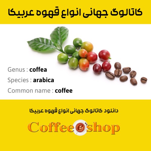 کاتالوگ جهانی انواع قهوه عربیکا: دانلود کاتالوگ انواع عربیکا