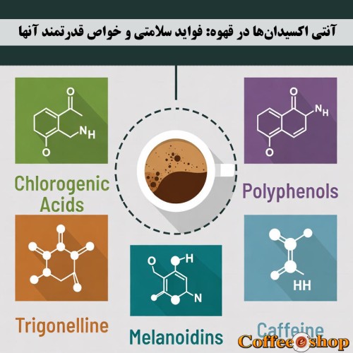 آنتی اکسیدان ها در قهوه در قهوه: فواید سلامتی و خواص قدرتمند آنها